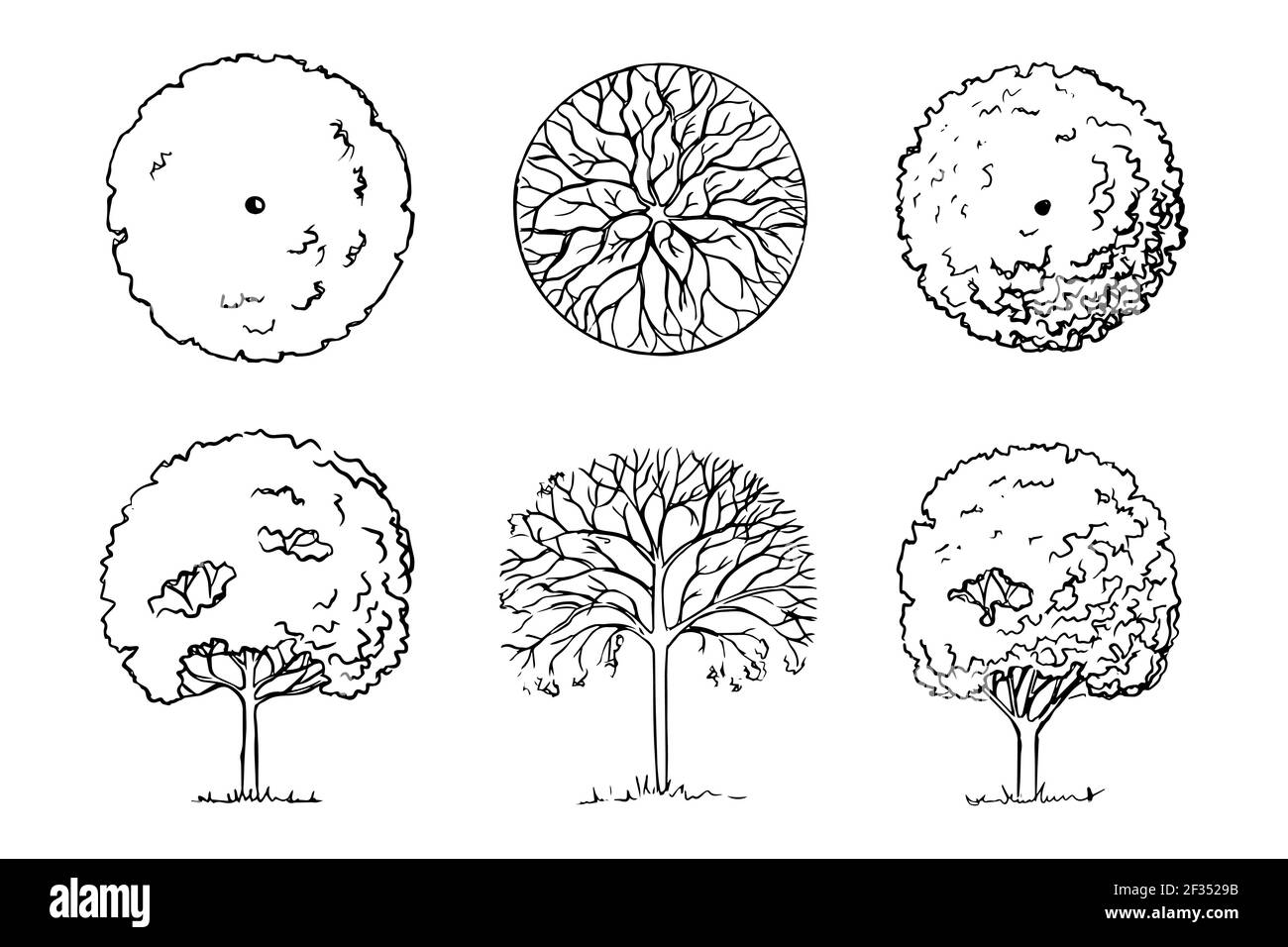 Hand-drawn sketch of trees. Landscaping. Three deciduous garden woody plants front view and top view. Black and white graphics. Isolated on a white ba Stock Vector