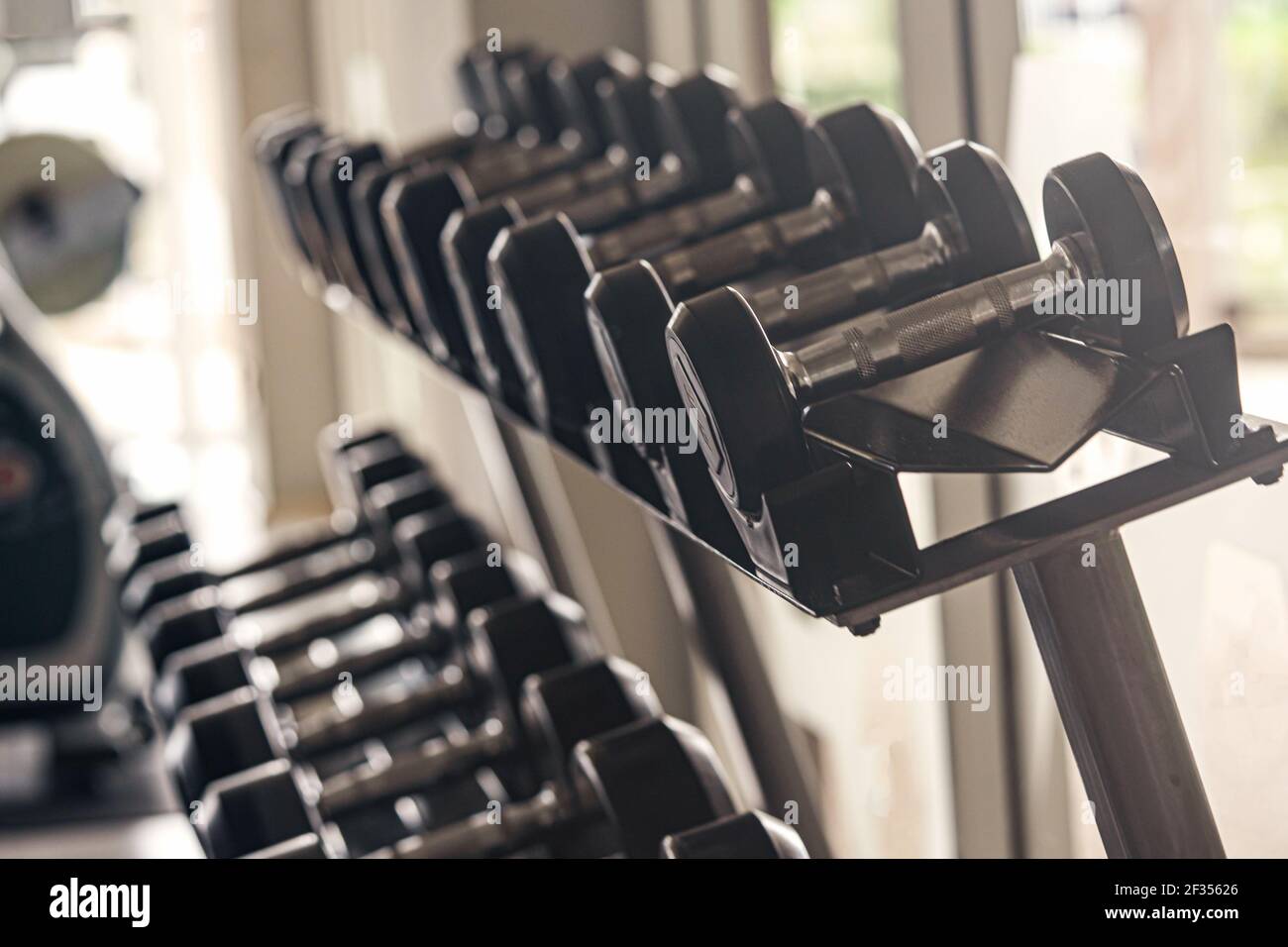 Light dumbbell set with rack hotsell
