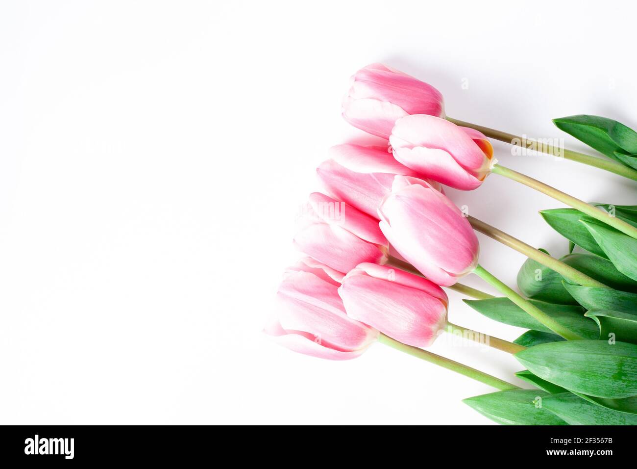 Spring flower pink tulips bouquet isolated on white background Stock ...