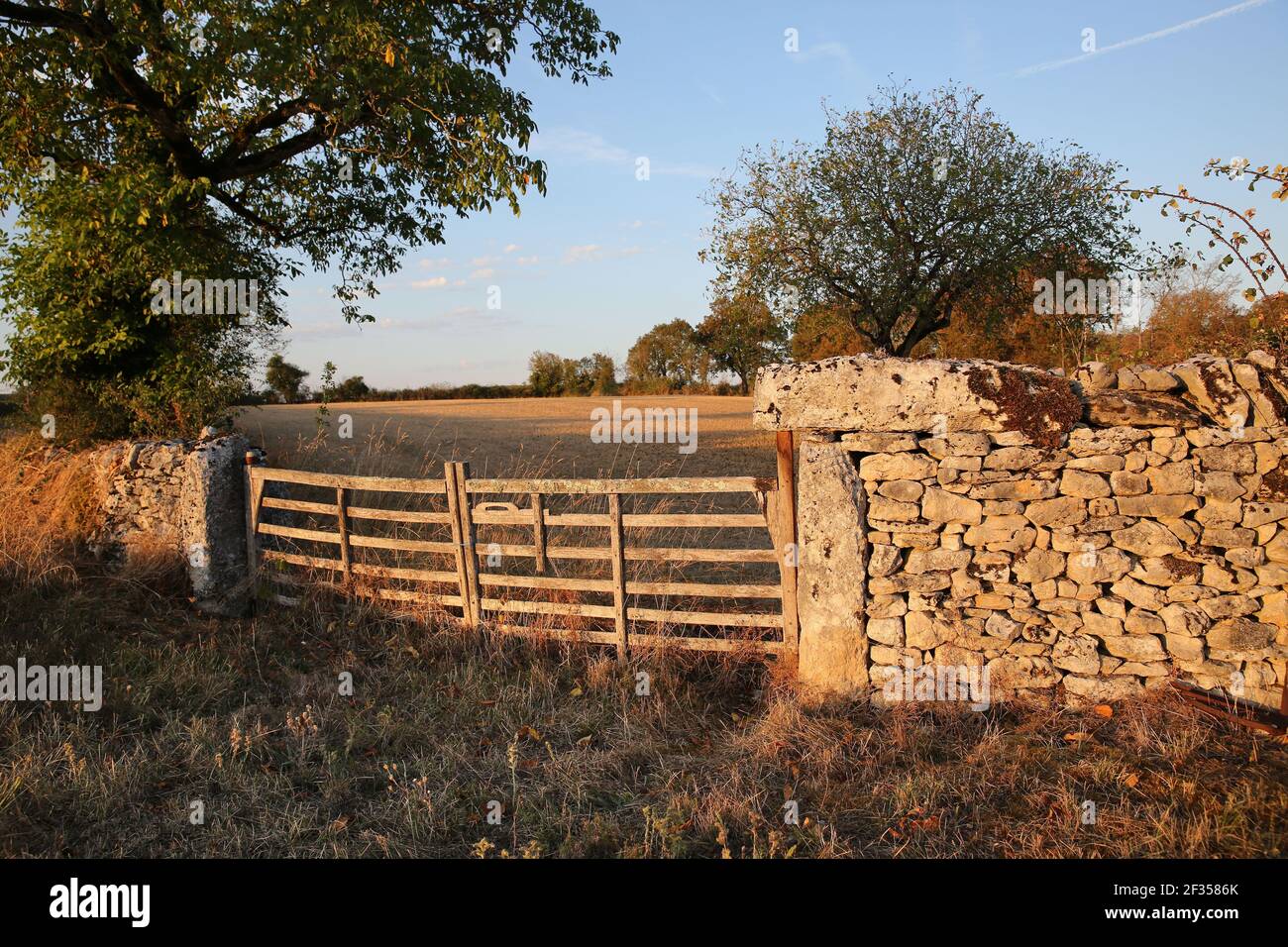 Traditional gate, natural region 'causses du Quercy” (south of France) Stock Photo