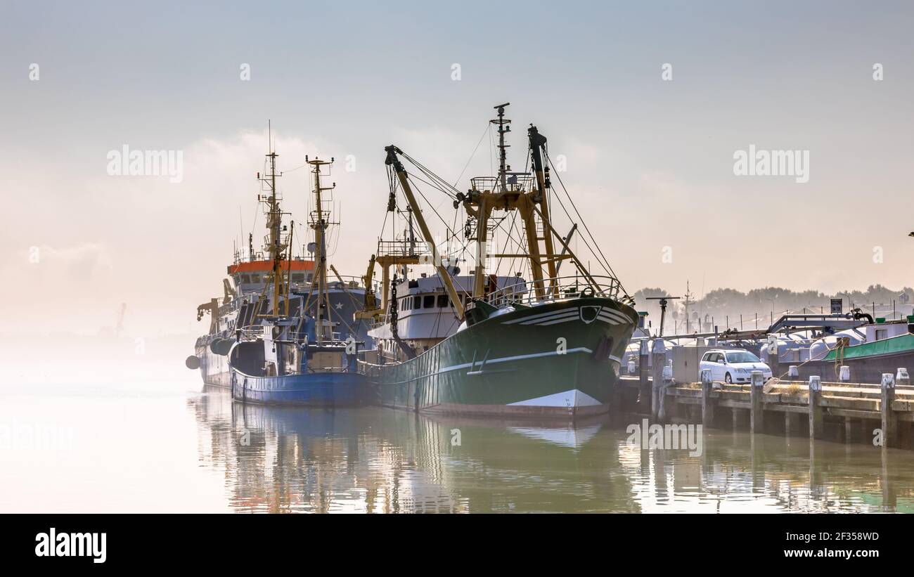 Modern fishing ships in hazy weather circumstances in harbour of Stellendam, Zeeland Province, the Netherlands. Stock Photo