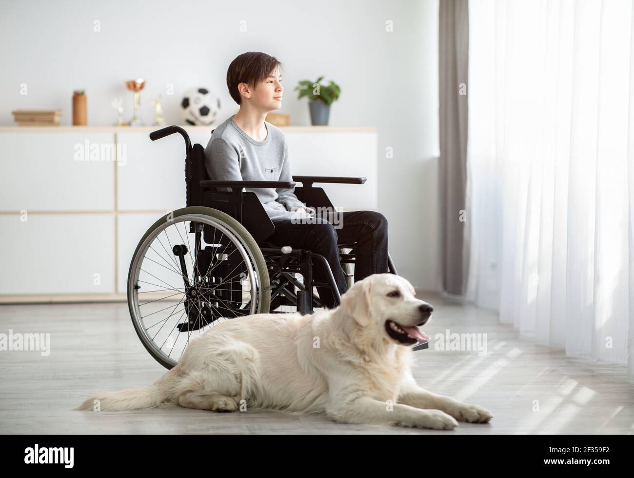Disabled teen boy in wheelchair with his dog looking out window at home. Human animal friendship concept Stock Photo
