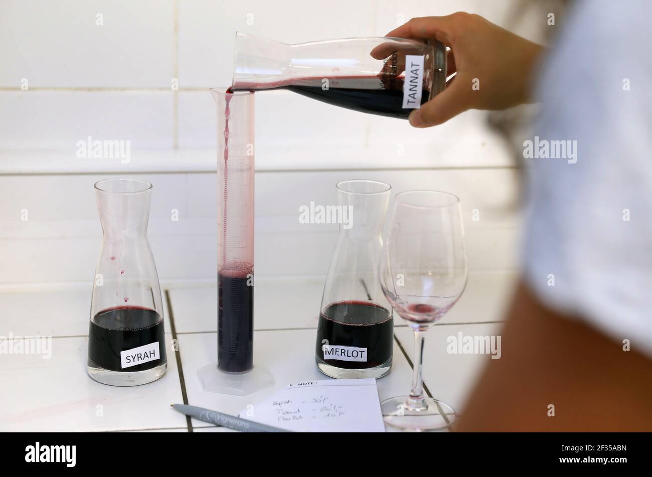 Viticulture, oenology: blend of grape varieties, Syrah, Merlot and Tannat. Laboratory in a winery, blend of red grapes Stock Photo