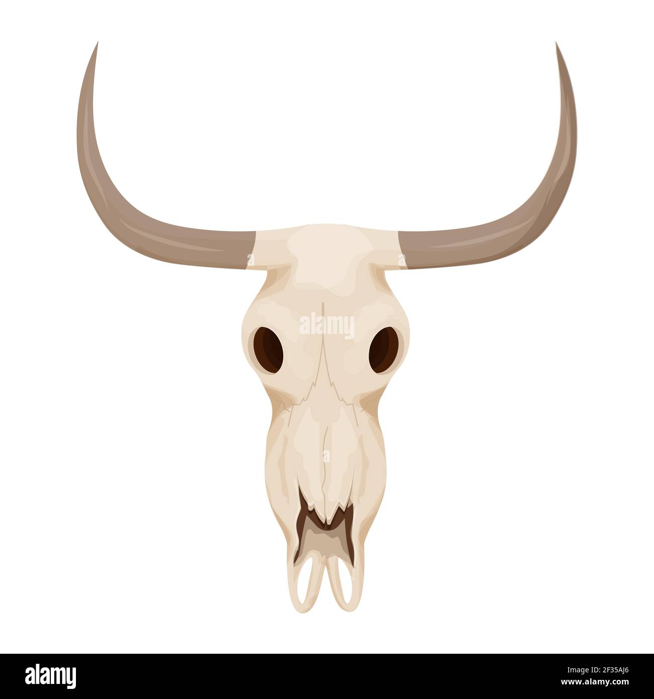 Cow, bull skull in cartoon style isolated on white background stock vector illustration. Wild west clipart, bone old creative decoration. . Vector ill Stock Vector