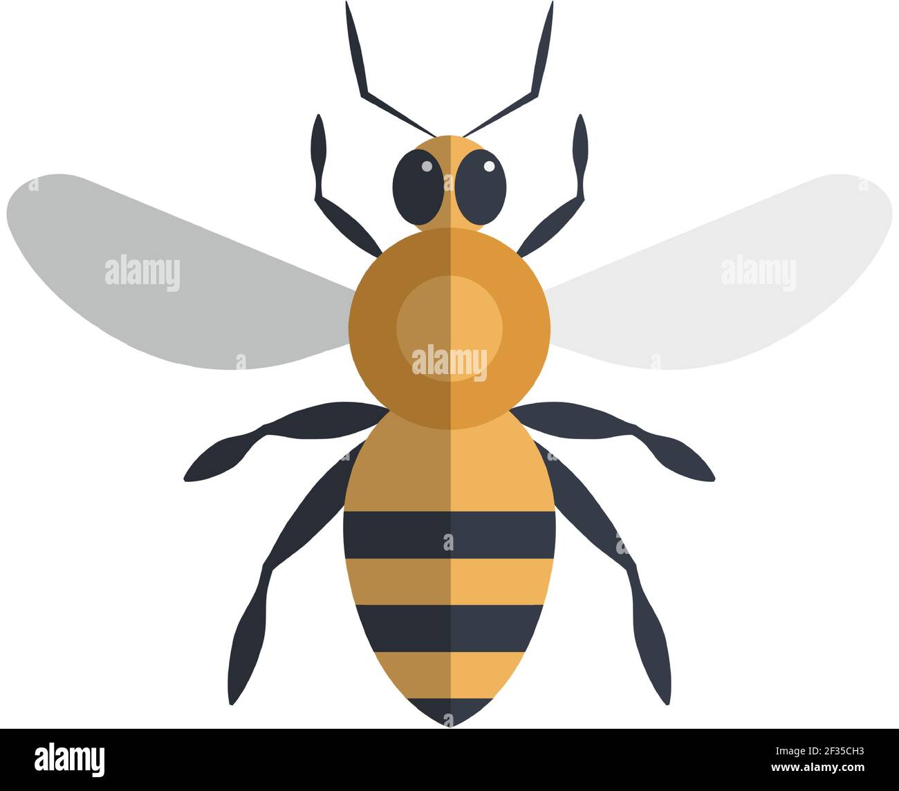 Bee flat vector icon illustration isolated on white Stock Vector Image ...