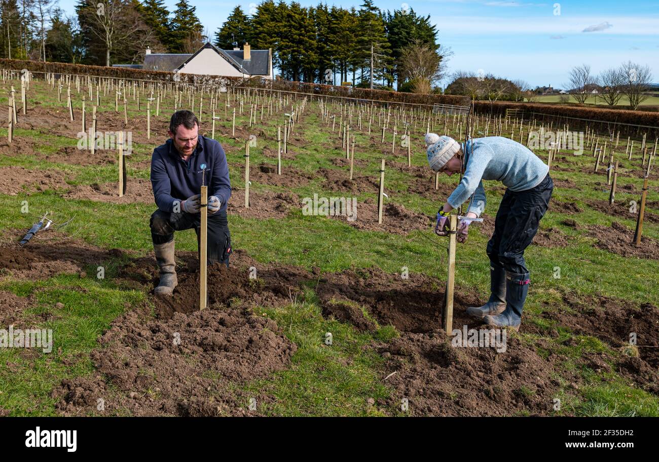 Kilduff Farm, East Lothian, Scotland, United Kingdom, 15th March 2021