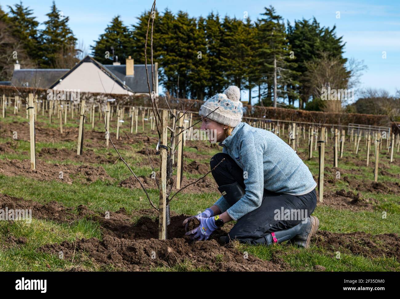 Kilduff Farm, East Lothian, Scotland, United Kingdom, 15th March 2021