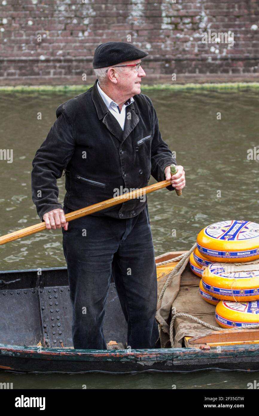 Netherlands, North Holland, Alkmaar. Man delivering yellow wheels of Dutch Cheese, by boat to cheese market. Stock Photo