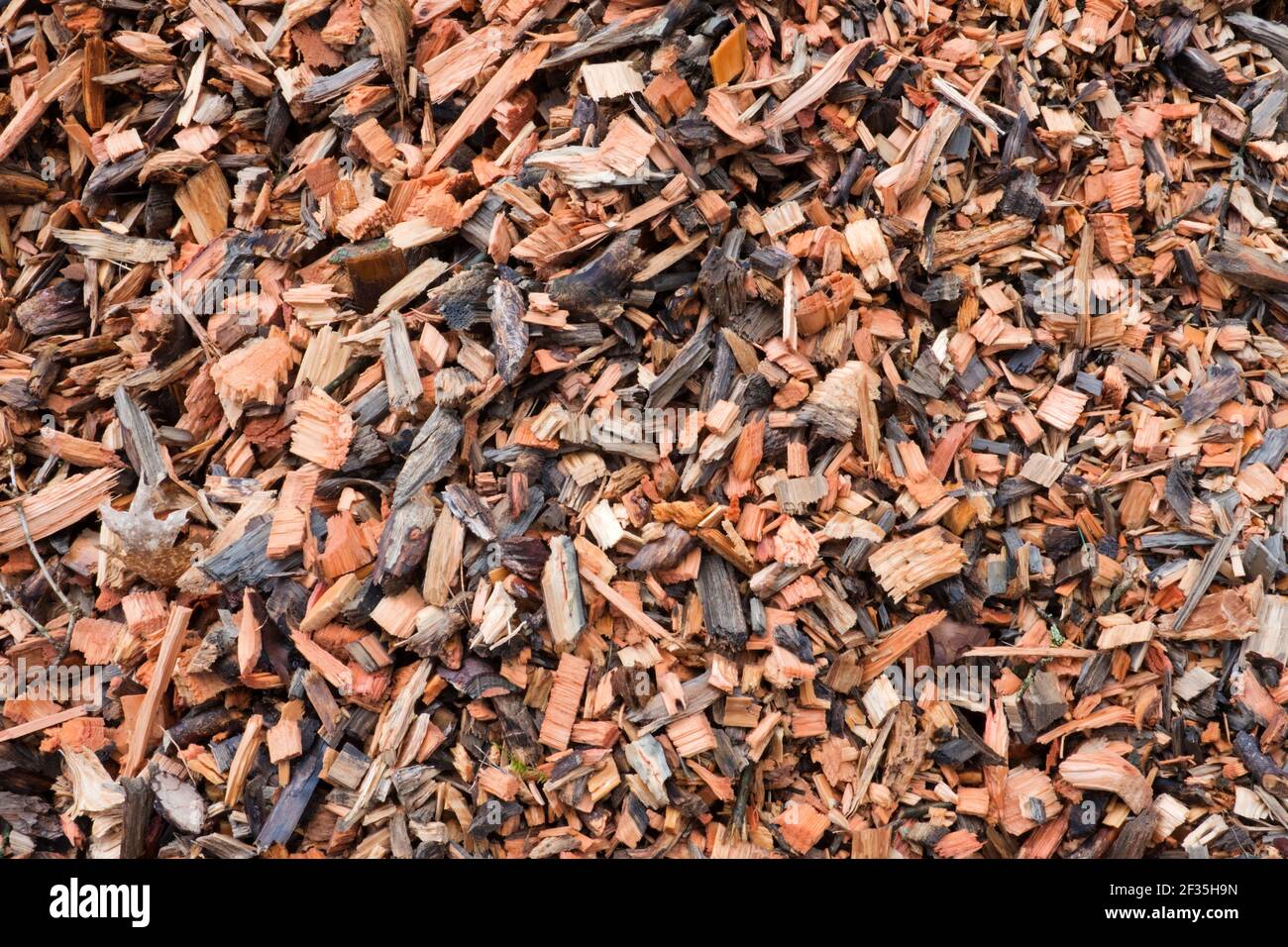 Pile of woodchips, detail, feedstock for a biomass power plant Stock ...