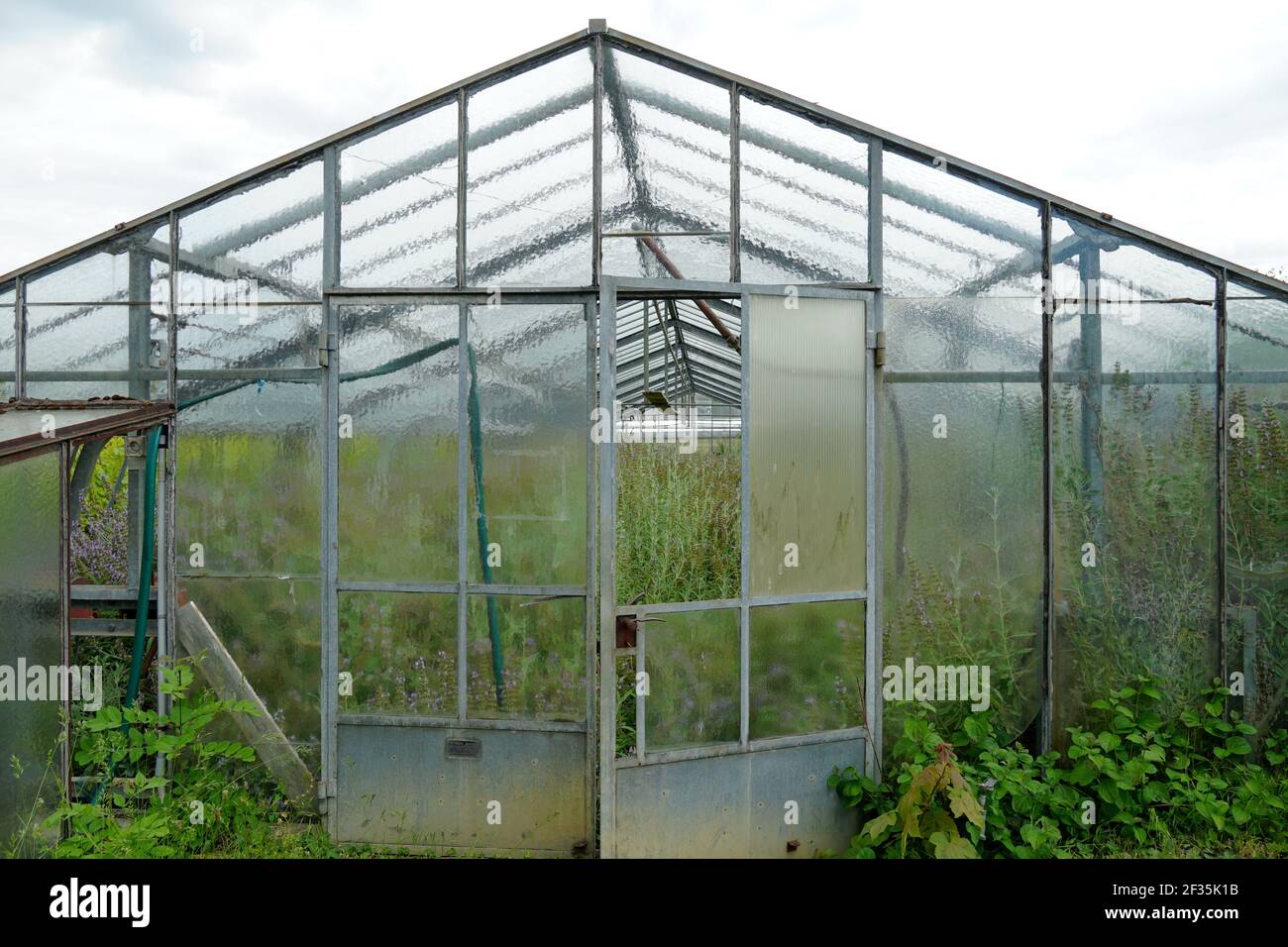 Old large greenhouse for agricultural cultivation, now out of use with some broken glass panes and overgrown with weed and tall grass. Stock Photo