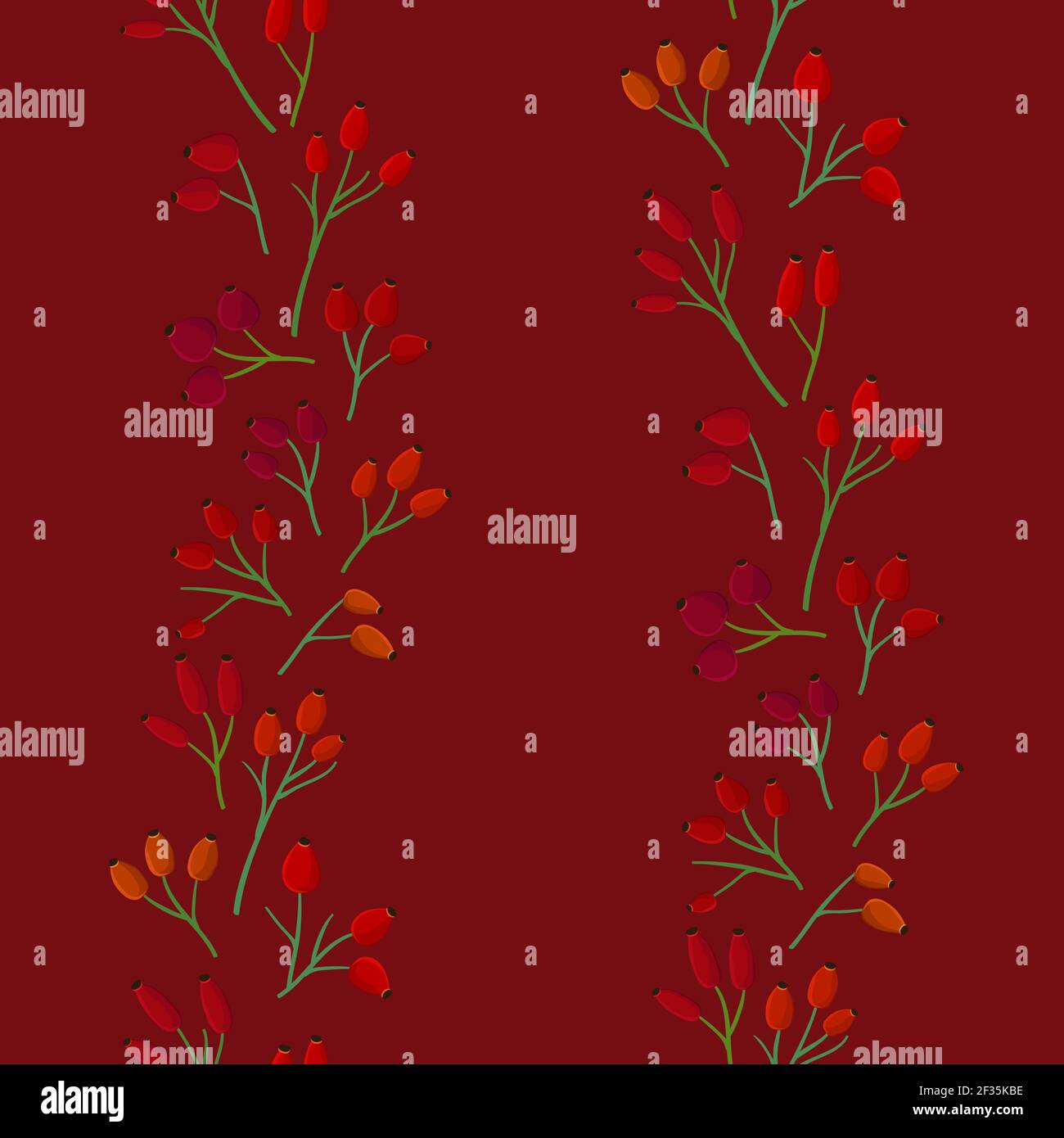 Rose hips - vector background Stock Vector Image & Art - Alamy