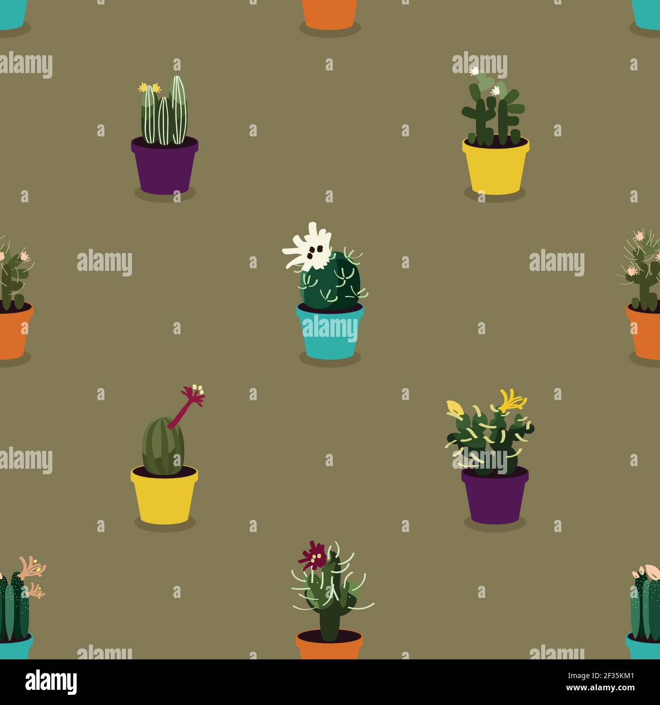 Various cacti flowers - vector background Stock Vector Image & Art - Alamy