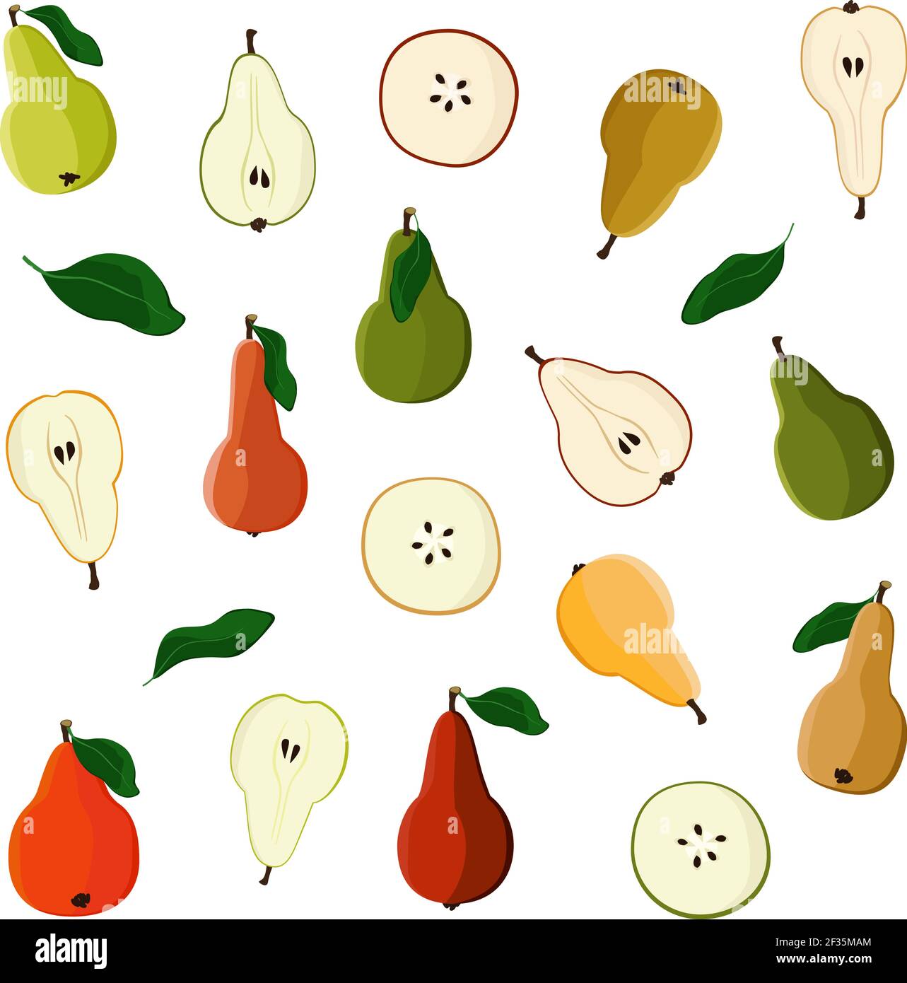 Set of various pears - vector illustration Stock Vector Image & Art - Alamy