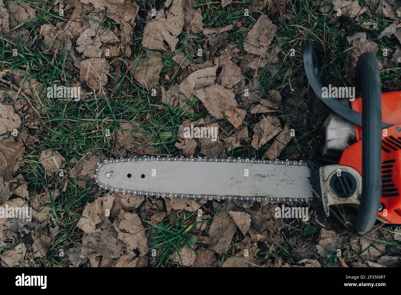 Chainsaw tree work tool in forest nature lifestyle Stock Photo - Alamy