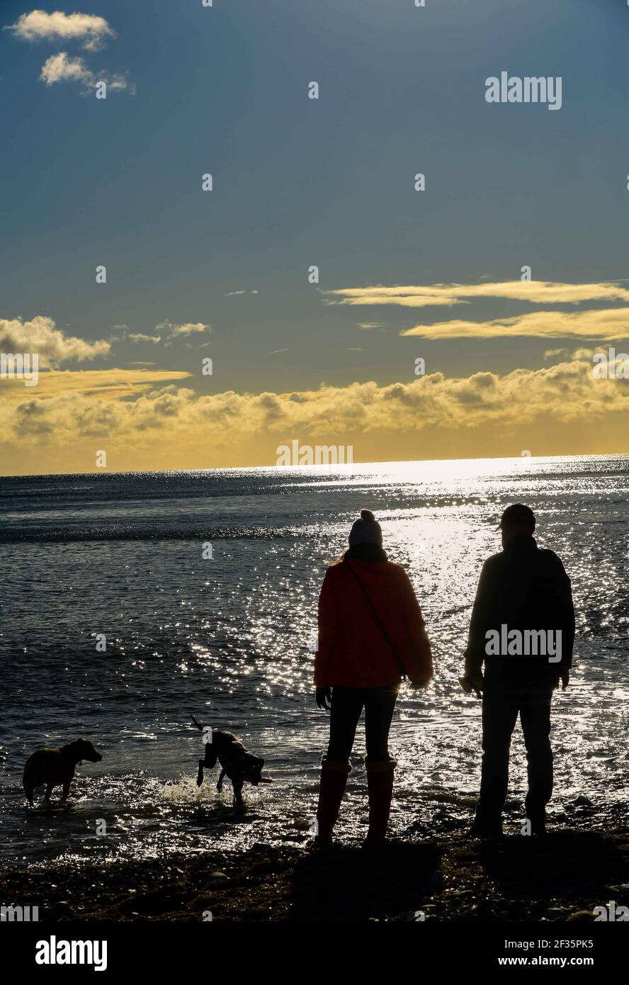 Two people walking two dogs on a beach at sunset by the sea Stock Photo