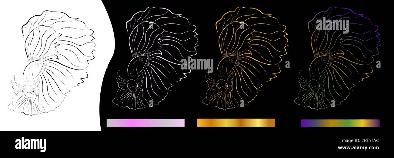 Vector Betta or siamese fighting fish, Big and Beautiful Tail Stock Vector
