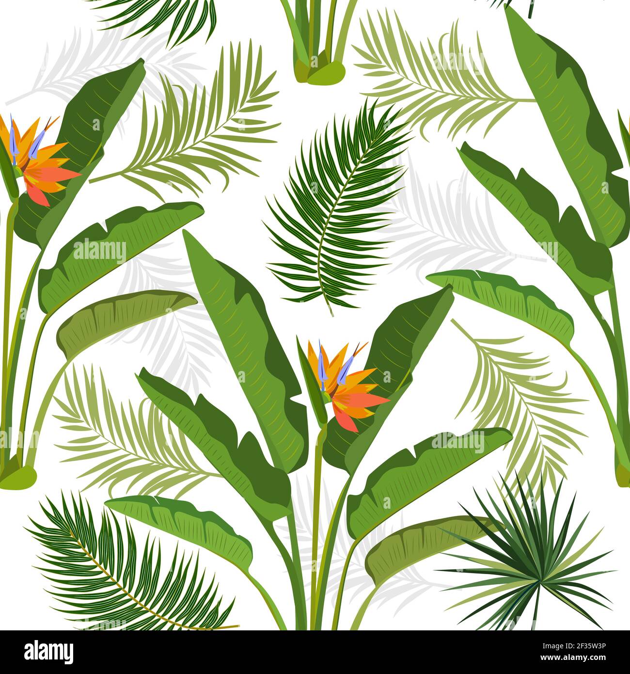 Vector tropical seamless pattern with leaves of strelitzia, palm tree ...