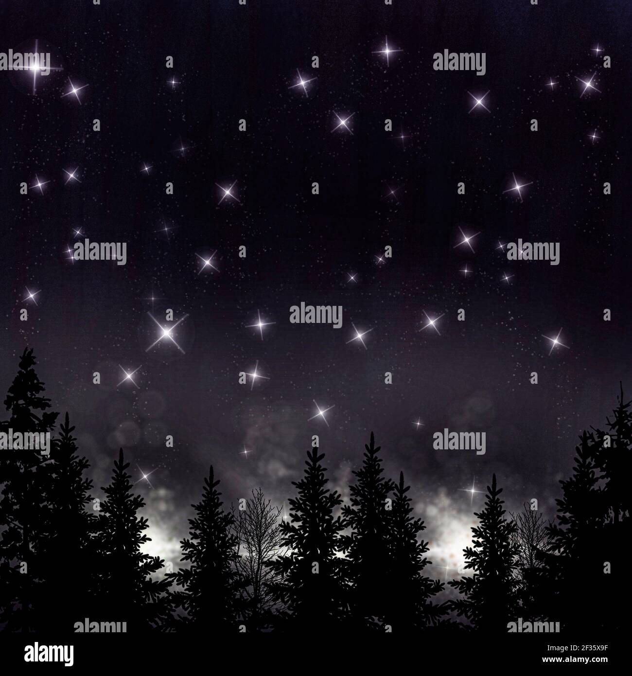 Night in woods 3d hi res stock photography and images Alamy