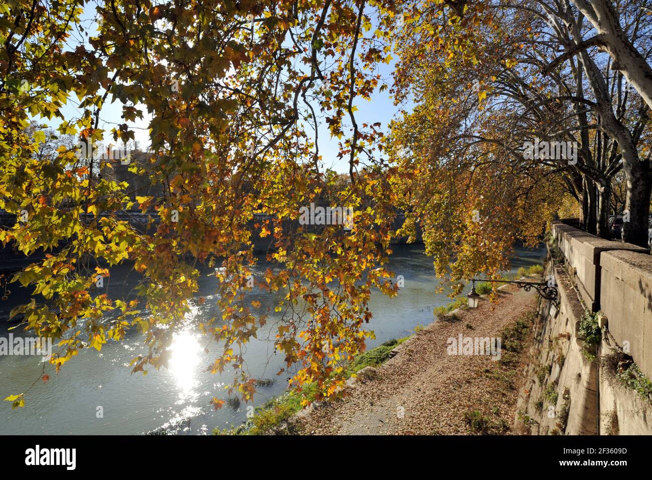 italy, rome, tiber river, autumn trees Stock Photo