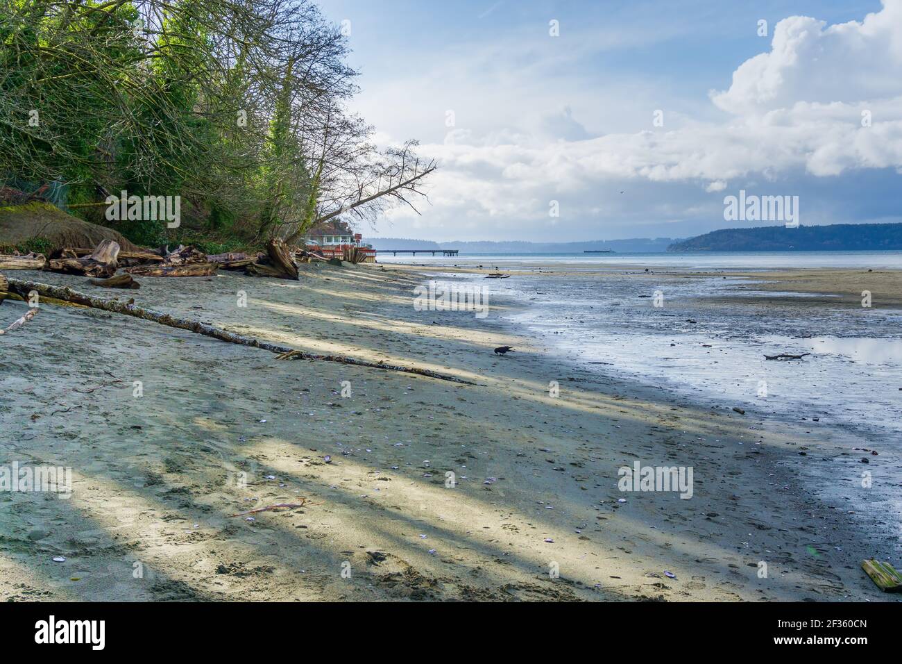 A view of the shoreline at low tide at Dash Point State Park in