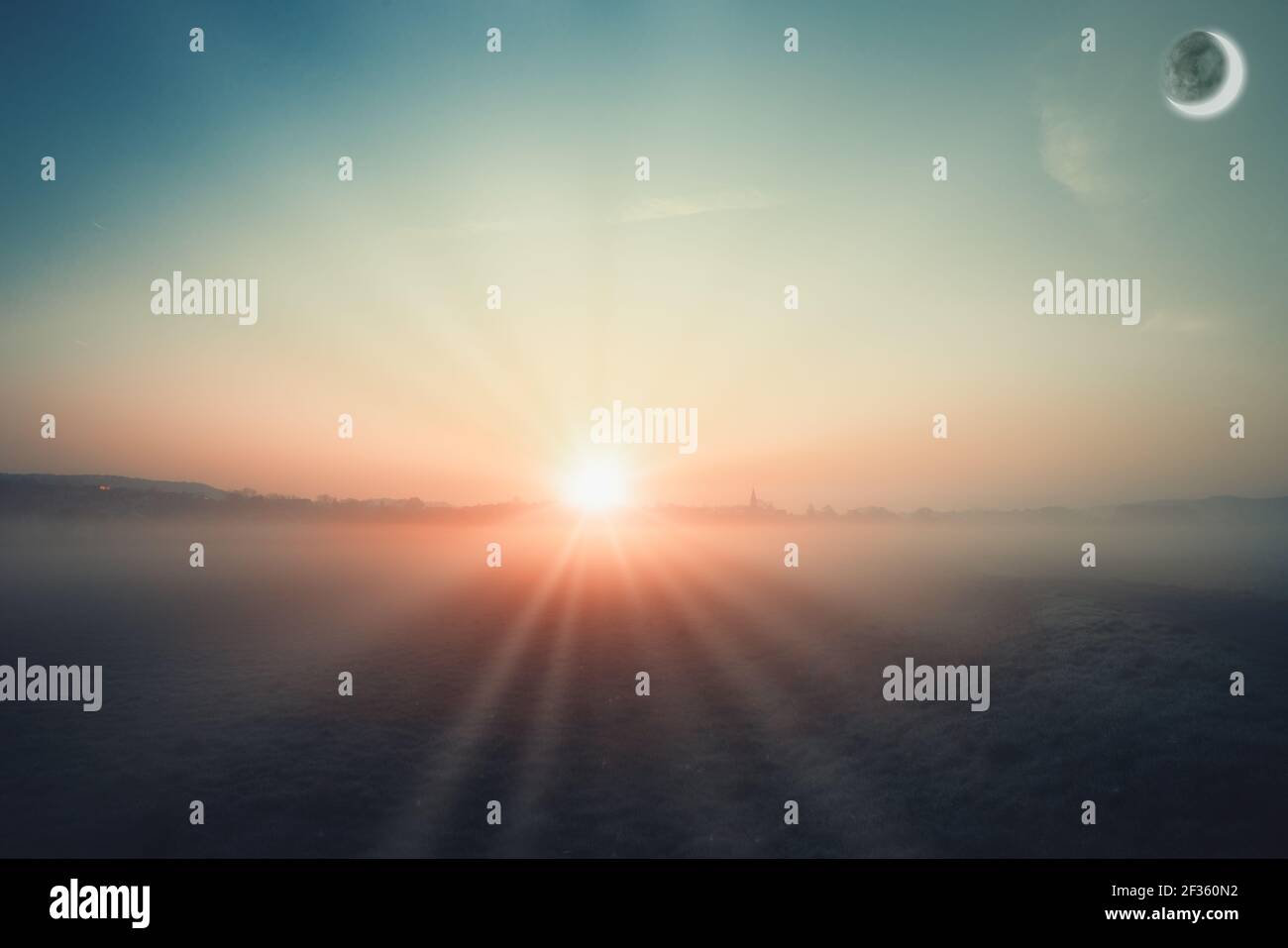 Woods fog moon hi-res stock photography and images - Alamy