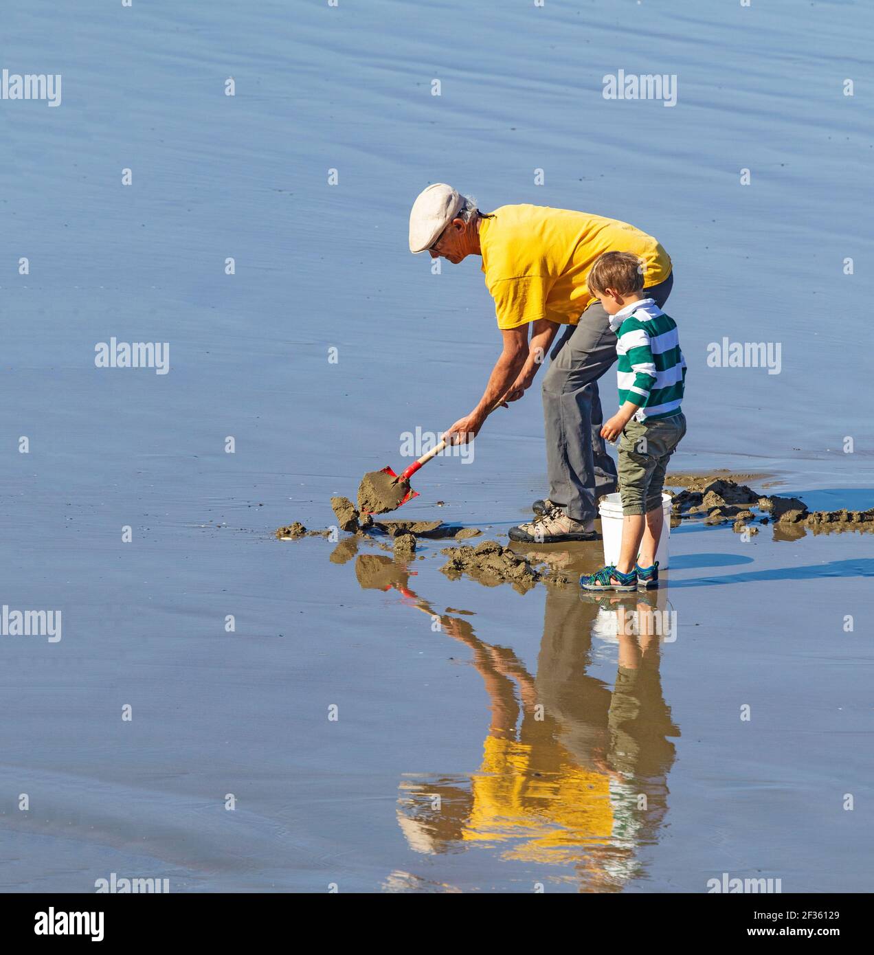 Young boy watching grandfather clamming Stock Photo