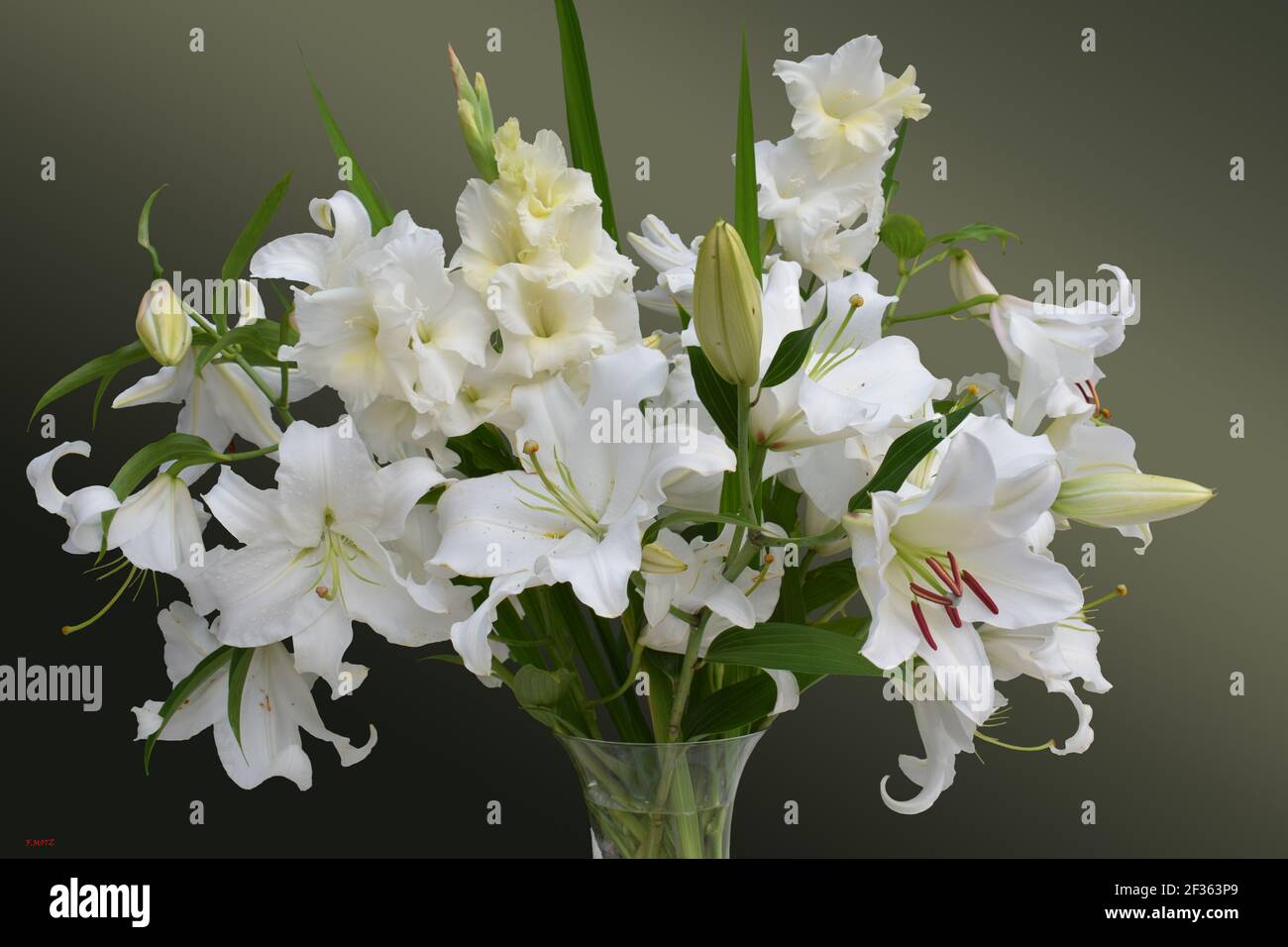 Impression bouquet de lys blanc Stock Photo