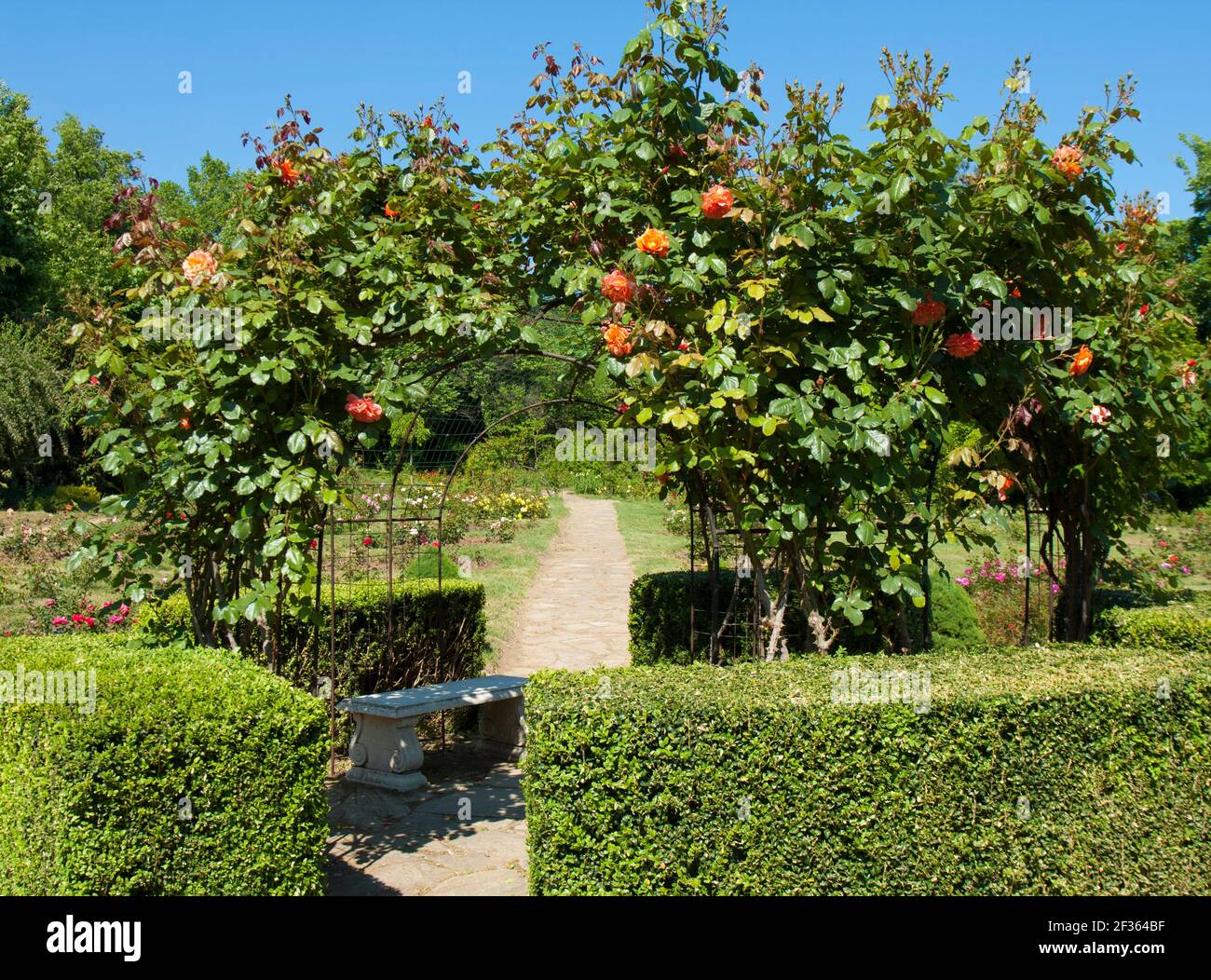 Botanic garden in St. Constantine and Helena resort Ekopark, rosarium, Bulgaria. Stock Photo