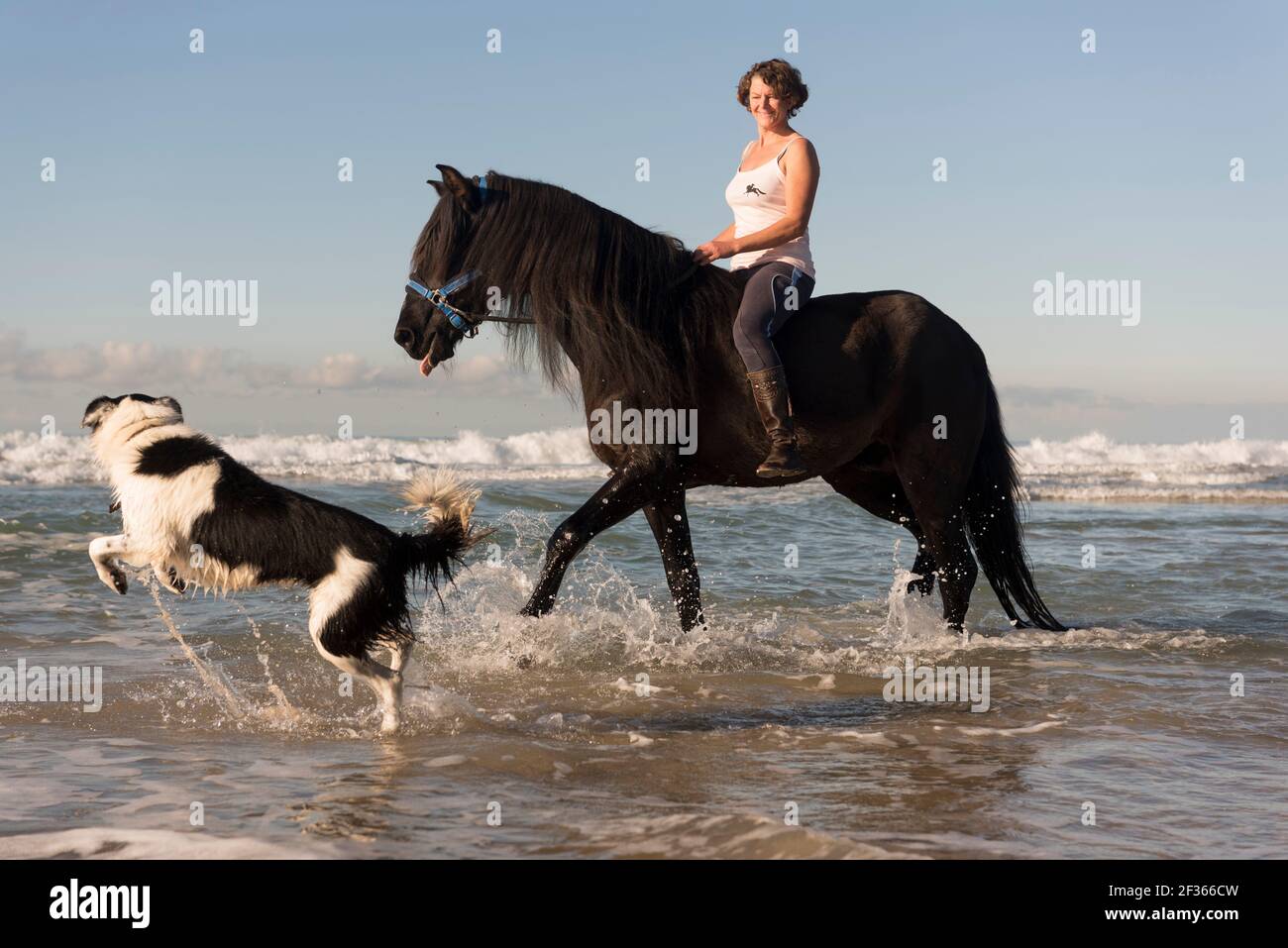 Woman horse riding at the beach, Tarifa, Costa de la Luz, Cadiz, Andalusia, Southern Spain. Stock Photo