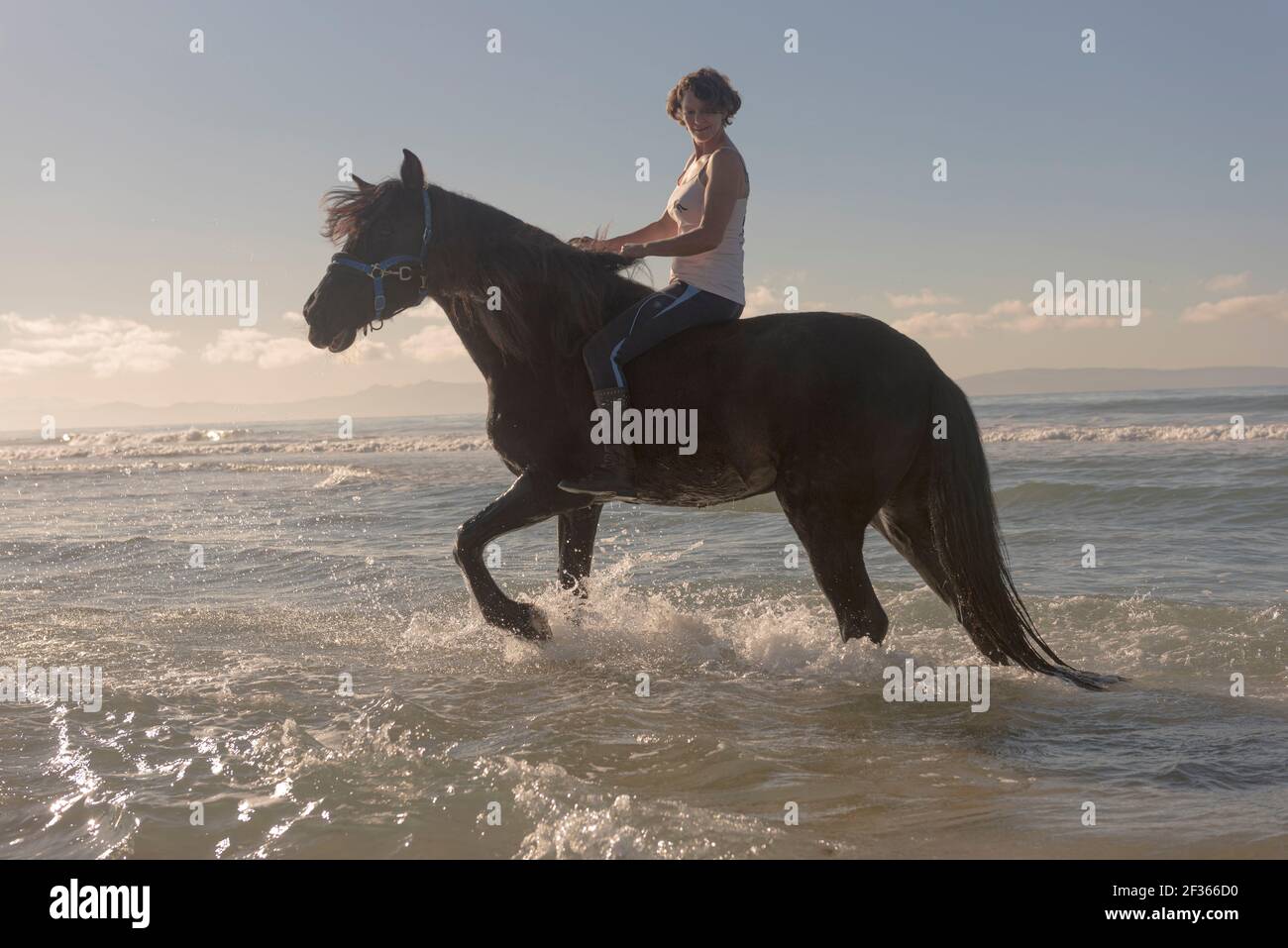 Woman horse riding at the beach, Tarifa, Costa de la Luz, Cadiz, Andalusia, Southern Spain. Stock Photo