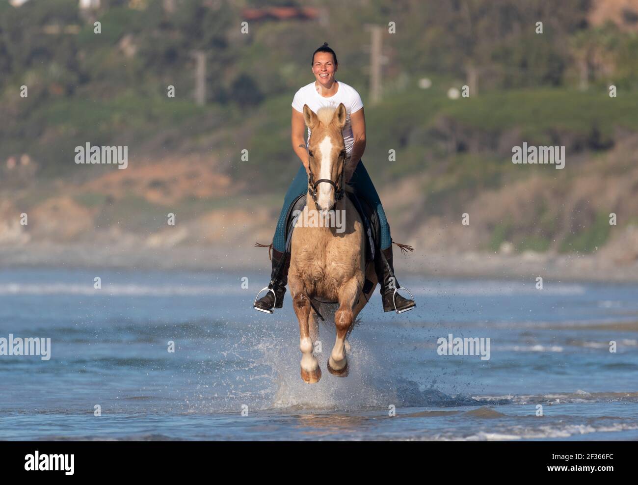 Woman horse riding at the beach, Tarifa, Costa de la Luz, Cadiz, Andalusia, Southern Spain. Stock Photo