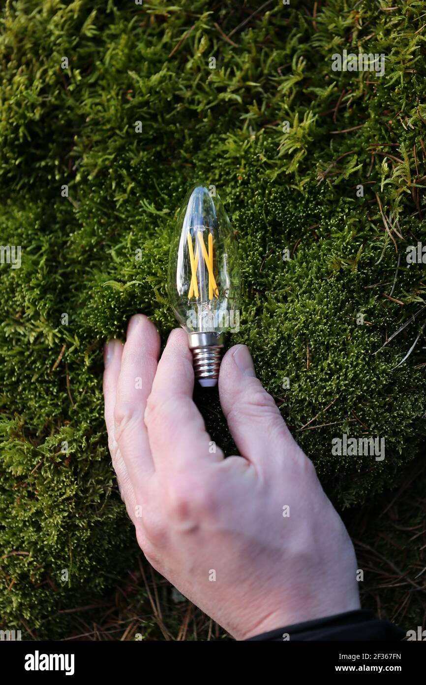 Energy saving lamp. Earth day and resource conservation concept