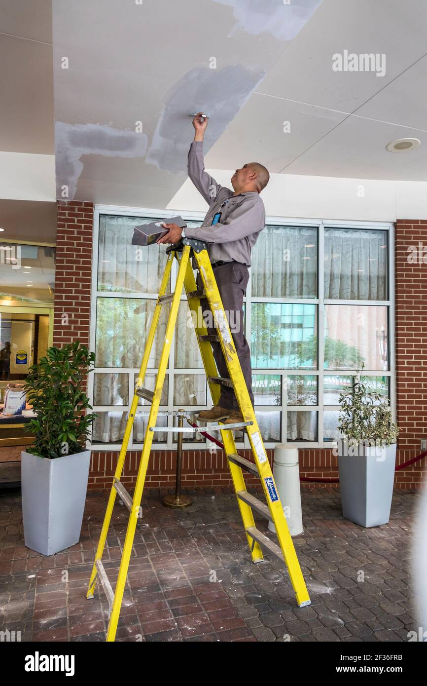 Washington DC,Homewood Suites by Hilton,hotel entrance maintenance man employee stucco repairing worker ladder, Stock Photo