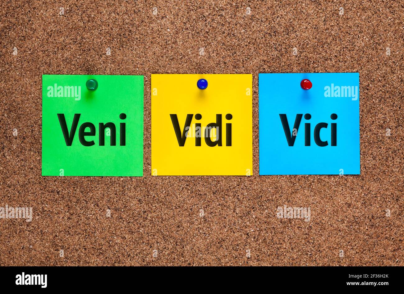 Veni Vidi Vici (I came, I saw, I conquered) - Veni Vidi Vici - Pin