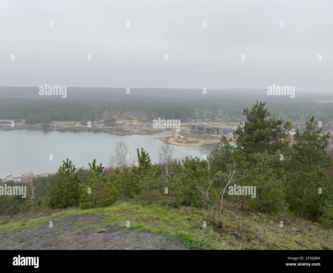 A beautiful shot of a river surrounded by greenery on a foggy day Stock ...