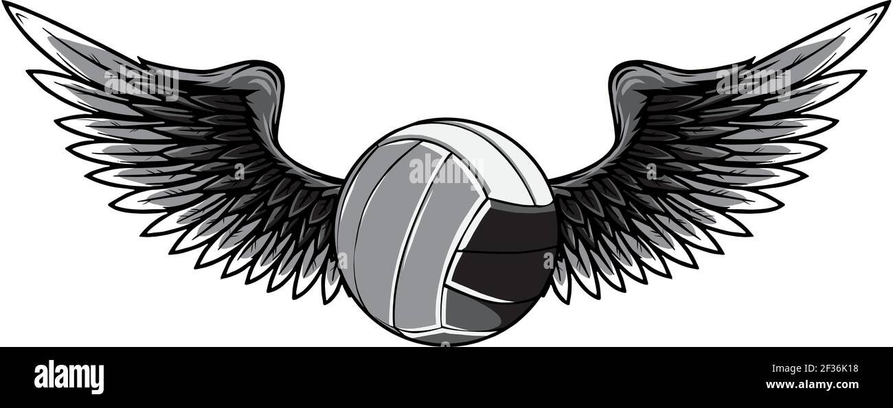 monochromatic volleyball ball logo with long wings in blue and grey