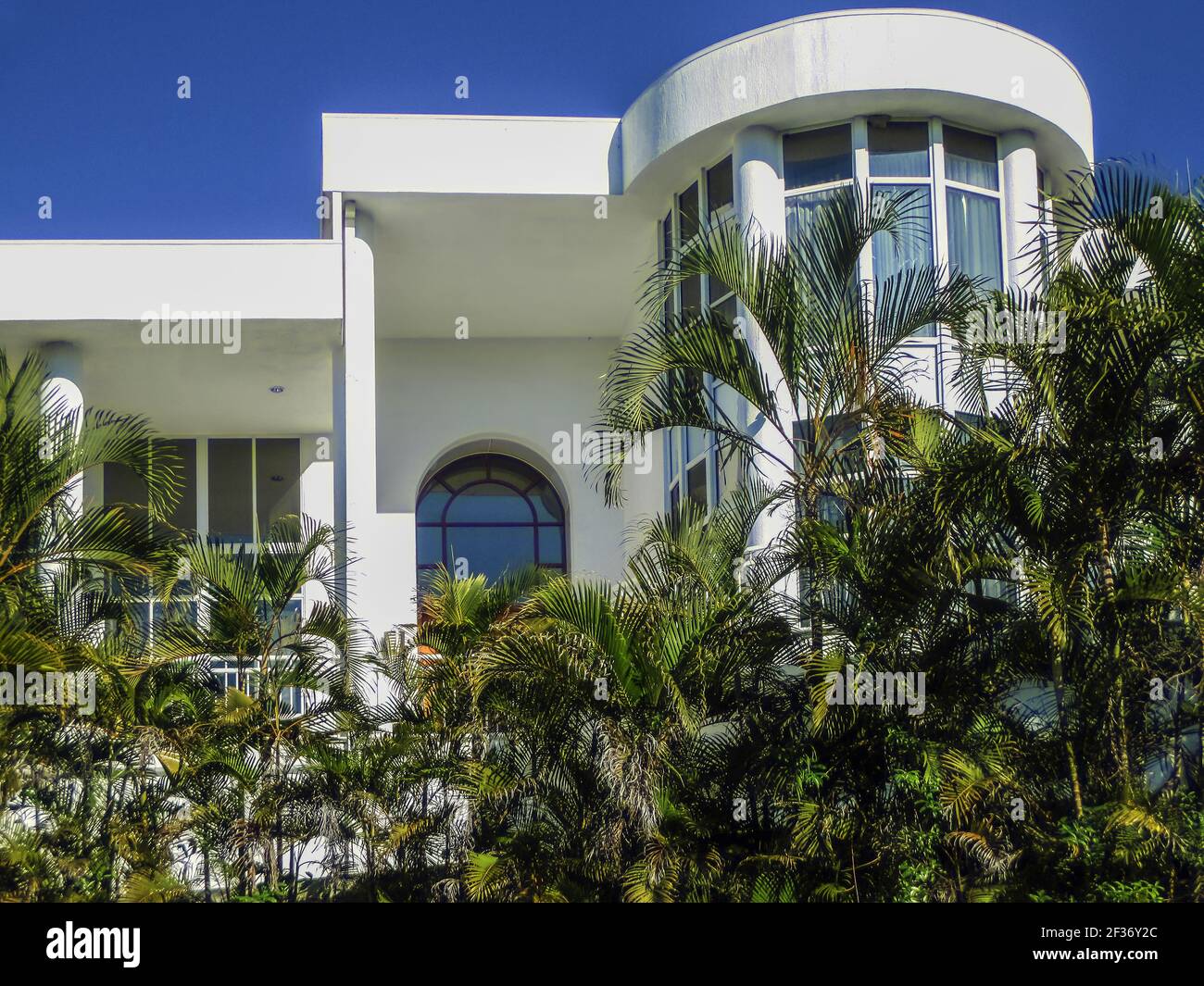 6-18-2014 Brisbane Australia beautiful luxury mansion in the suburbs partially hidden by tall palm trees against blue sky Stock Photo
