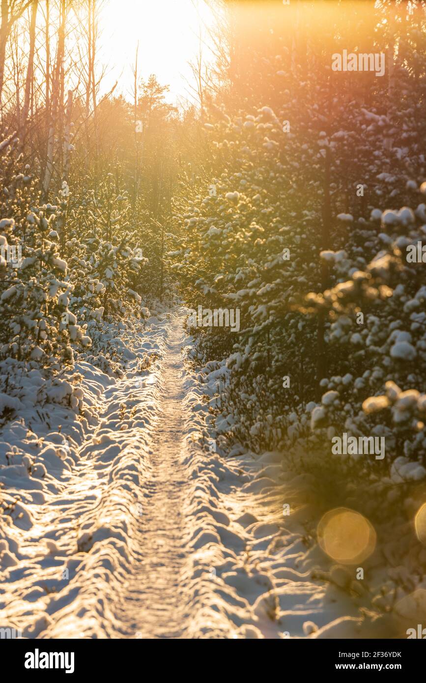 Outdoor light wood weather hi-res stock photography and images - Alamy