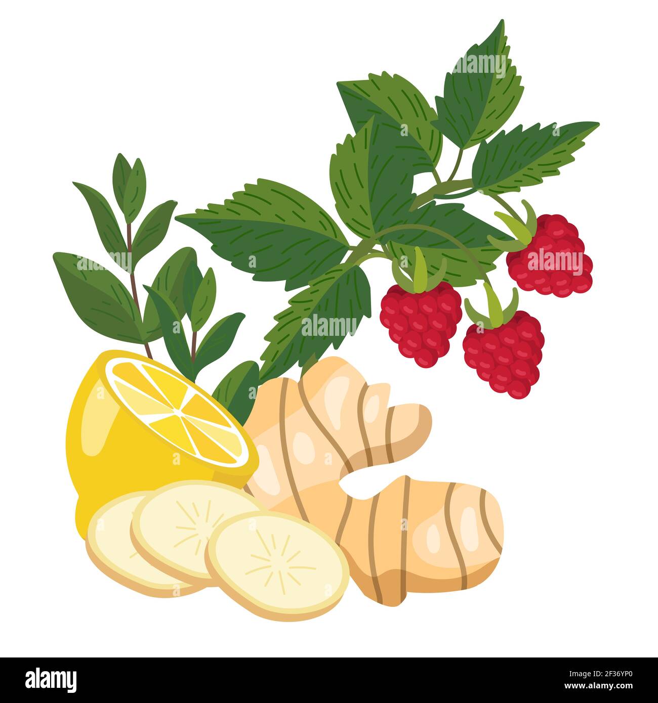 Lemon, ginger, mint, raspberry. Natural remedies and ingredients for home treatments for colds, flu, runny nose, fever and immune boosting. Natural fo Stock Vector