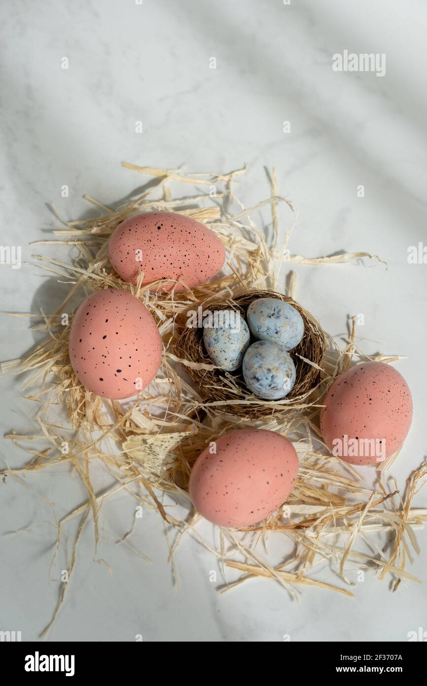 Four pink eggs and three small blue eggs in the nest Stock Photo