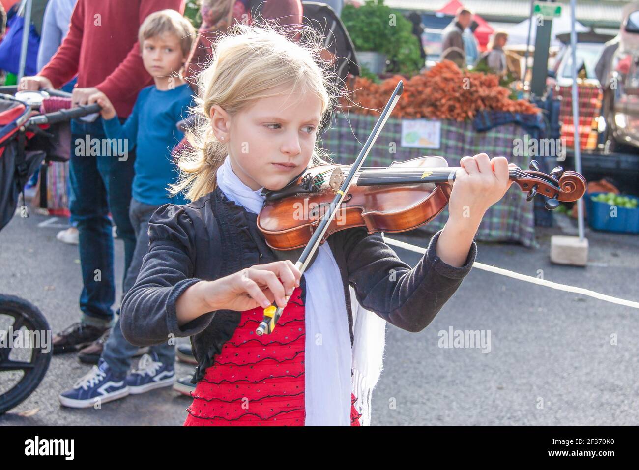 2019-10-19 Bloomington USA - Little girl concentrating on playing violin at farmers market as little boy with parents looks at her. Stock Photo