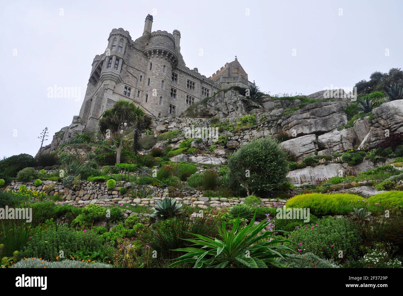 The steeply terraced rocky gardens full of sub-tropical plants on the seaward side of St Michaels Mount off Marazion in Cornwall. UK Stock Photo