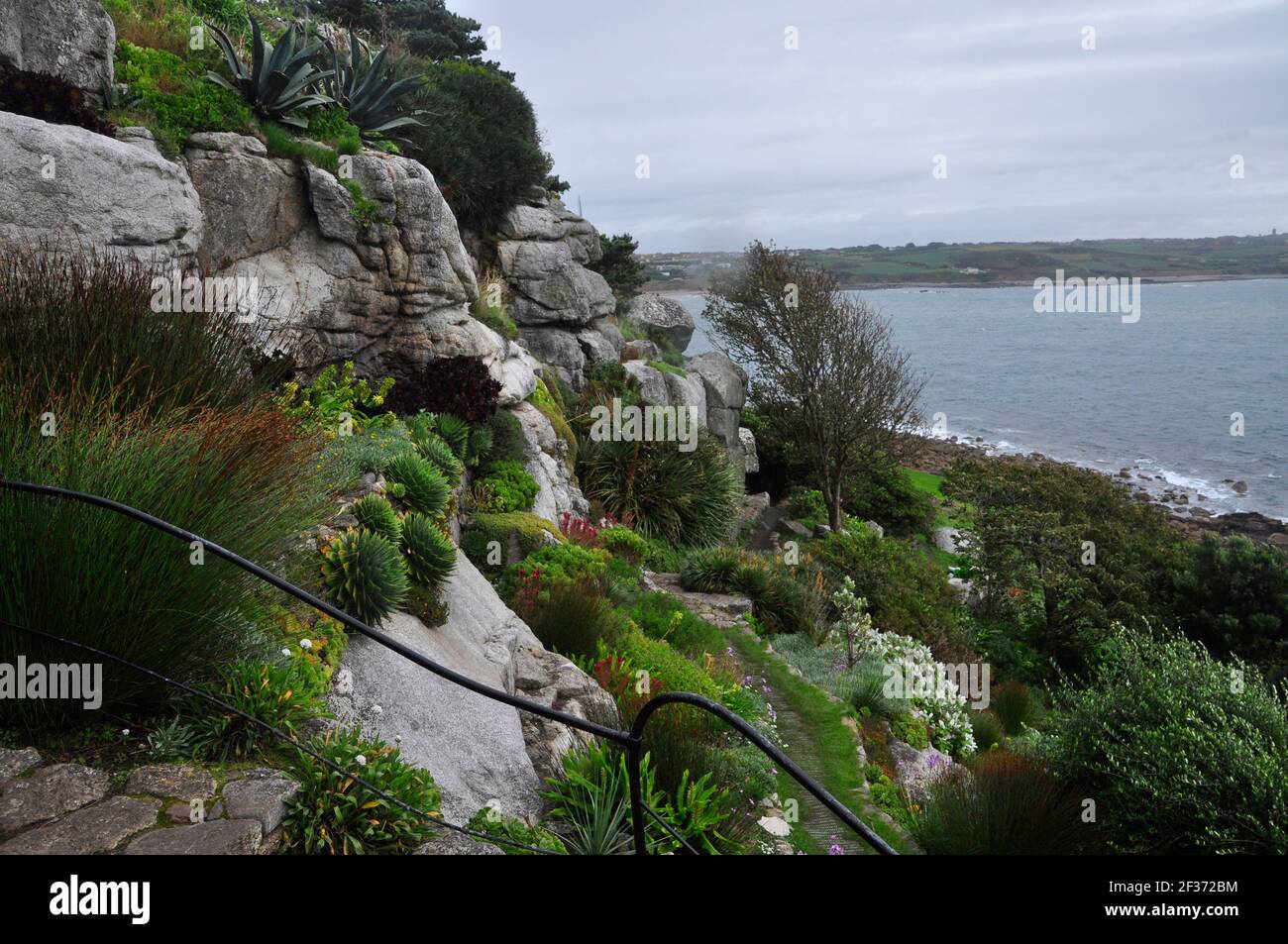 Stone paths wind their way up the steeply terraced rocky gardens full of succulents and sub-tropical plants on the seaward side of St Michaels Mount o Stock Photo