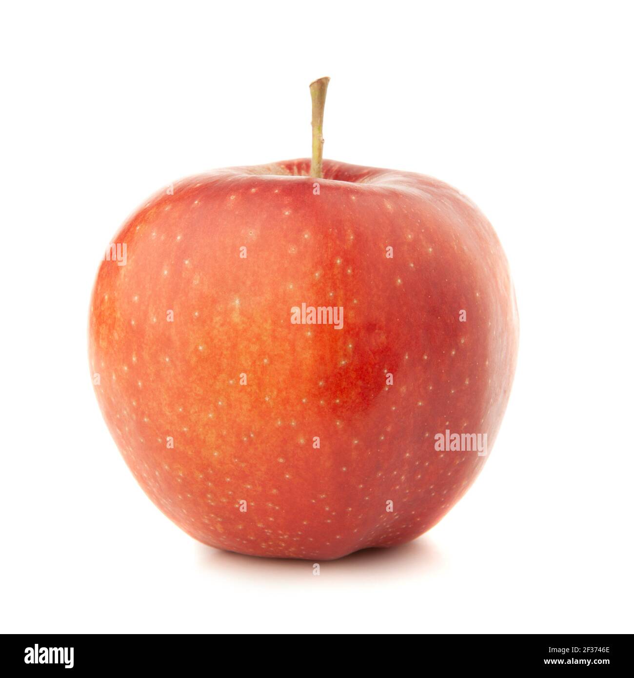 Red apple on a white background with a shadow. Stock Photo
