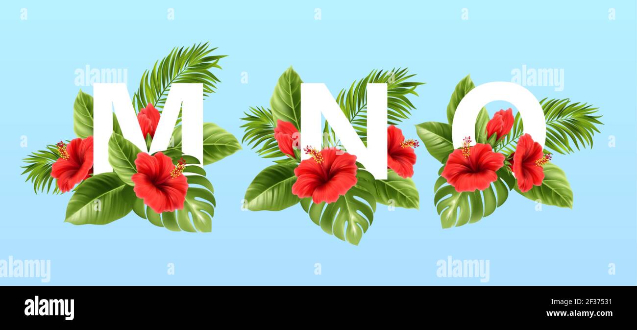 M N O letters surrounded by summer tropical leaves and red hibiscus flowers. Tropical font for summer decoration. Vector illustration Stock Vector