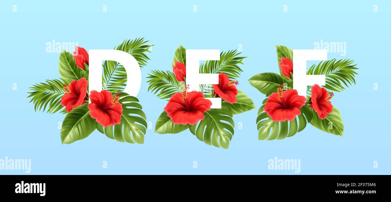 A B C letters surrounded by summer tropical leaves and red hibiscus flowers. Tropical font for summer decoration. Vector illustration Stock Vector