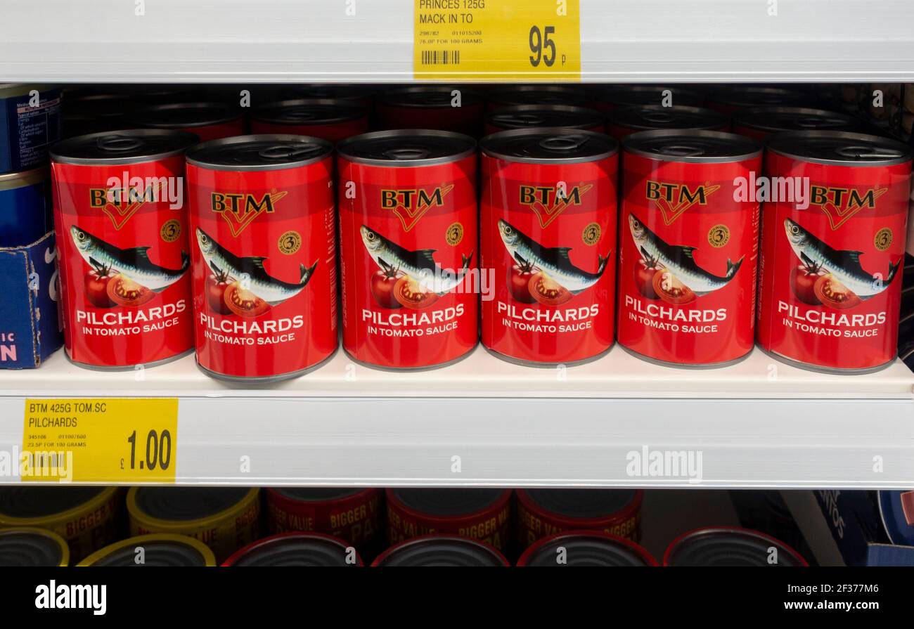 Tins of pilchards in tomato sauce on a UK supermarket shelf (Sardina picahardus) Stock Photo