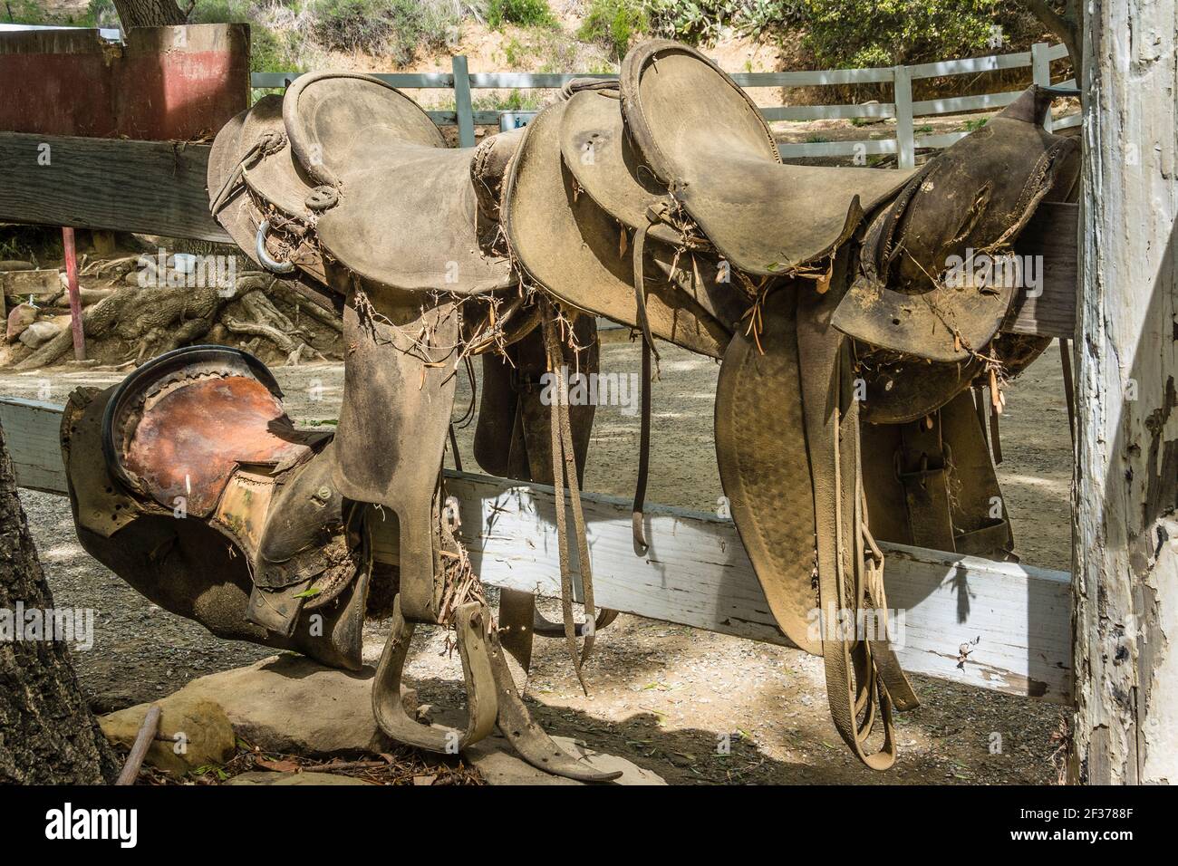 Wornout saddles hanging on fence Stock Photo Alamy