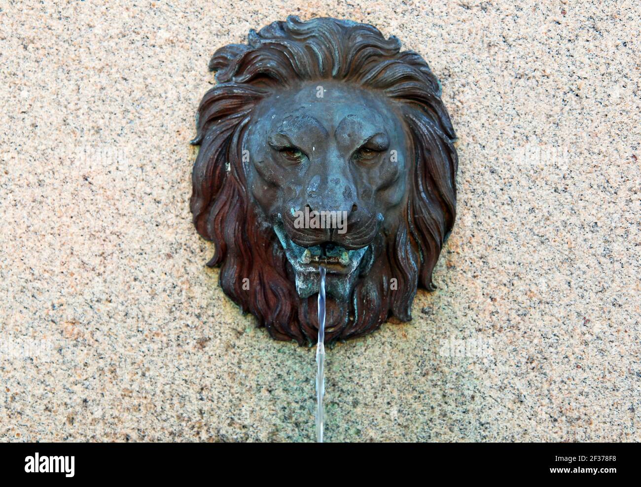 A bronze lion head fountain spouting water. Stock Photo