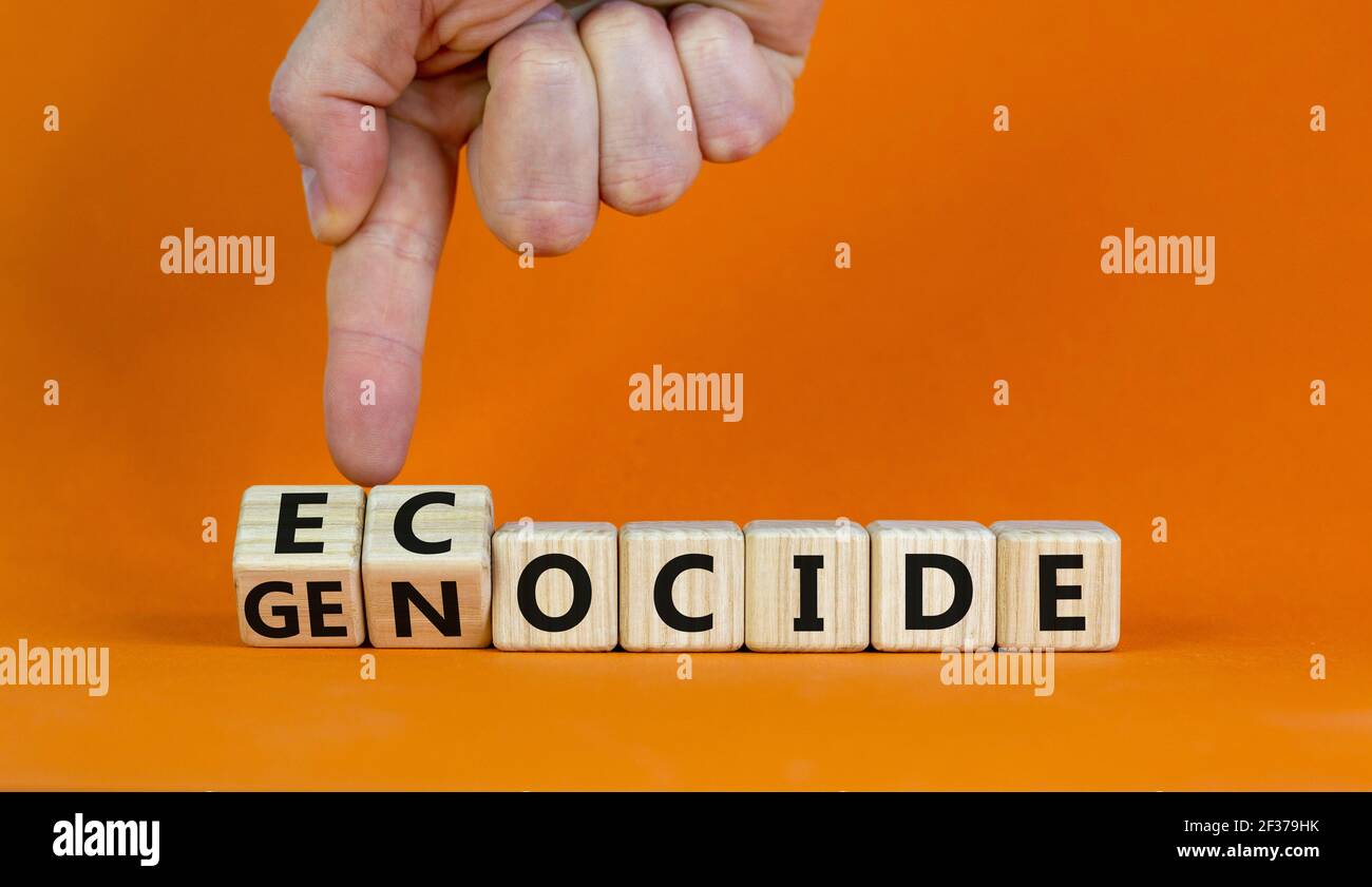 Ecocide or genocide symbol. Businessman turns cubes and changes the word genocide to ecocide. Beautiful orange background, copy space. Business, ecolo Stock Photo